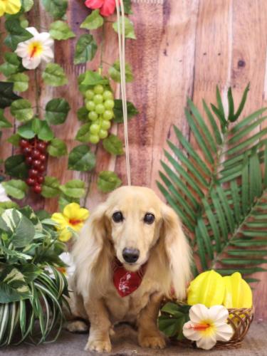 20230826ロイくん